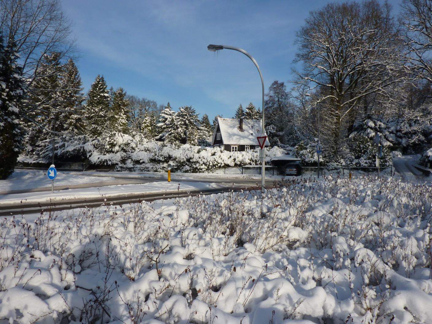 Kans Op Witte Kersten Steeds Kleiner Weer Nl