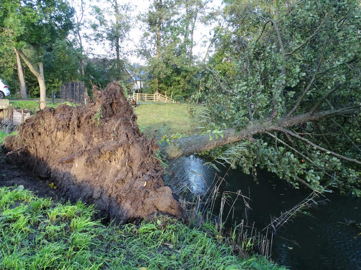 Storm Poly trekt over Nederland, flinke impact mogelijk Weer.nl