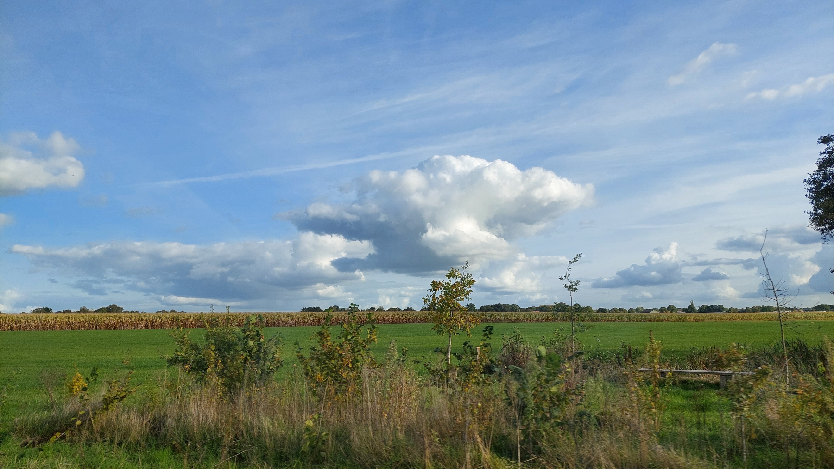 Vandaag Nog Buien, Daarna Vaak Droog - Weer.nl