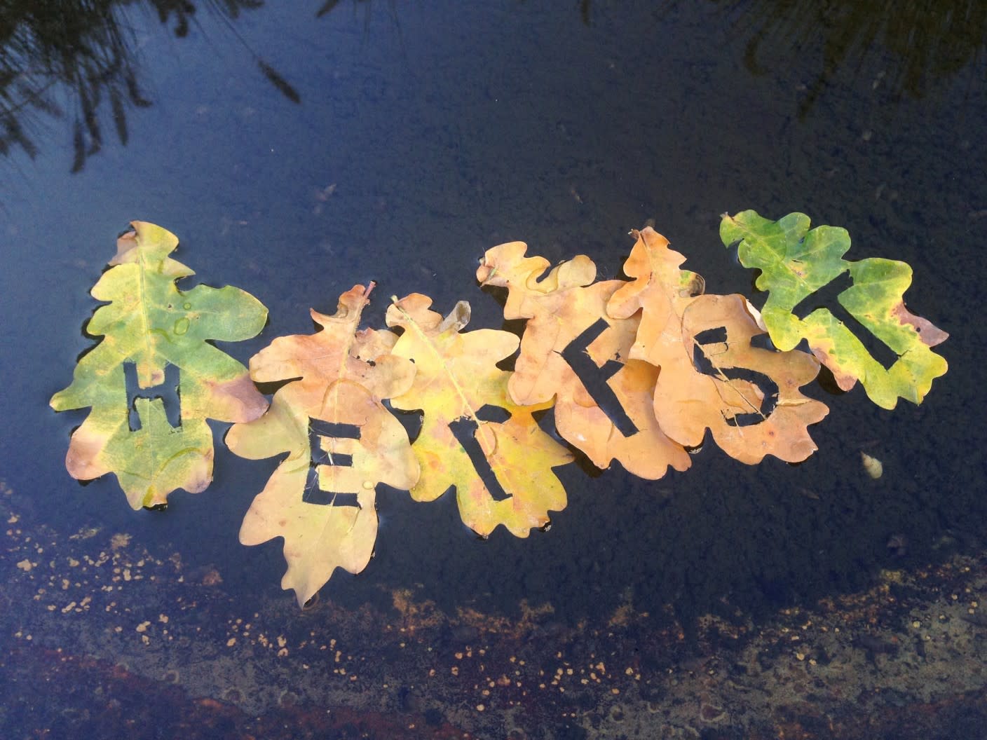 Astronomische herfst brengt herfstweer! Weer.nl